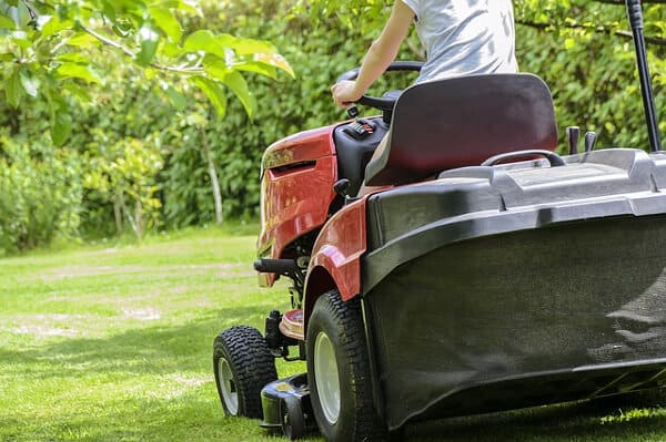 Du kan sommarjobba med trädgårdsskötsel